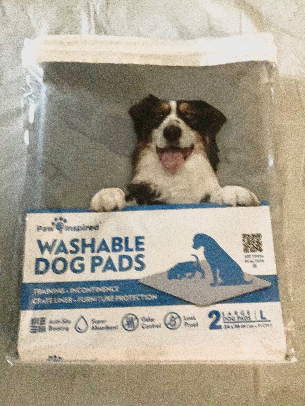 NEW Paw Inspired Set of Two Large Washable Dog Pads